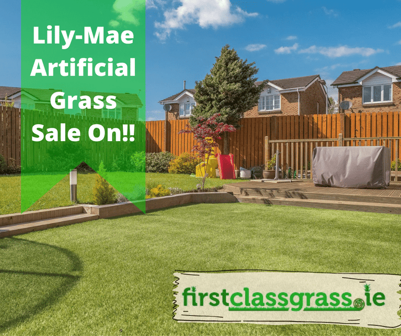 Artificial Grass – Our New Company